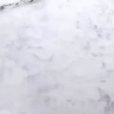 Creative Salad Fruit and Vegetable Cutter cjvideos gif
